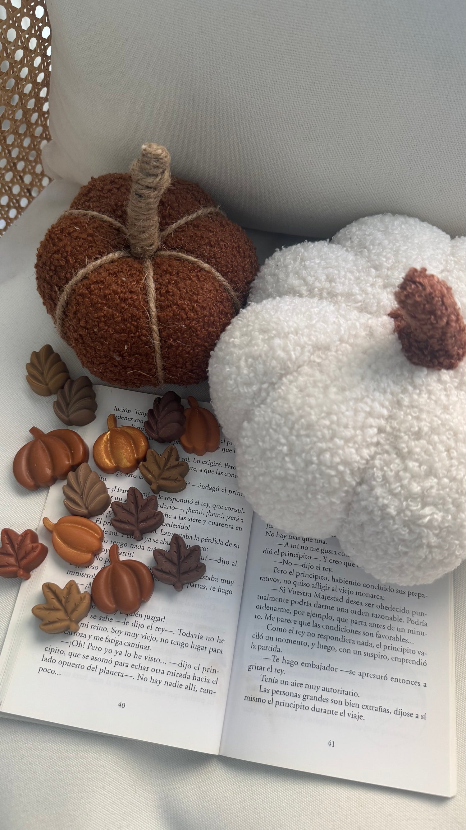 Colección Otoño 🍂🪵🕯️