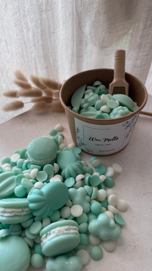 WAX MELTS MELÓN