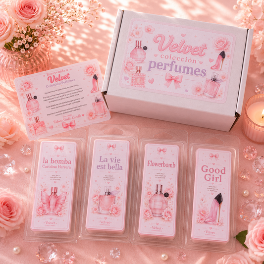 Caja Experiencia Perfumes ✨